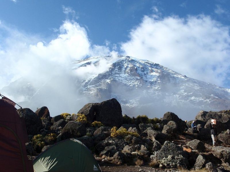 kilimanjaro