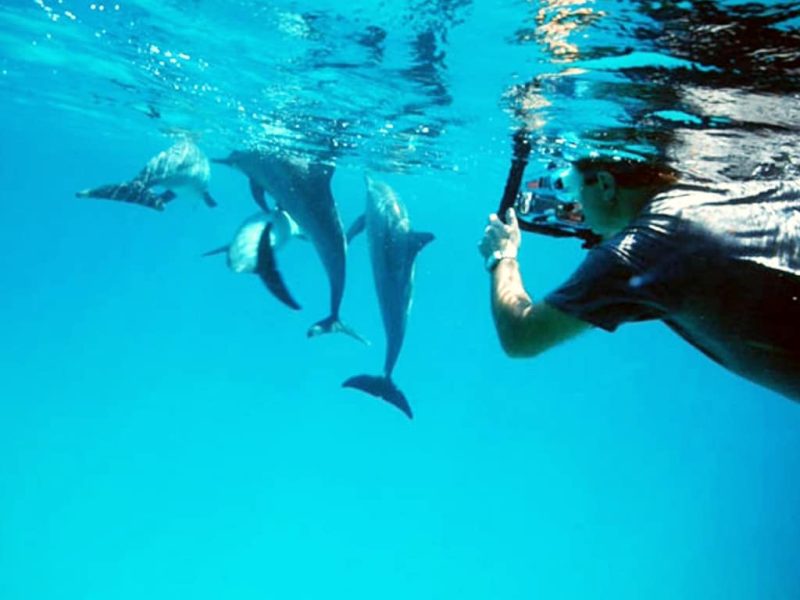 kizimkazi dolphin tour